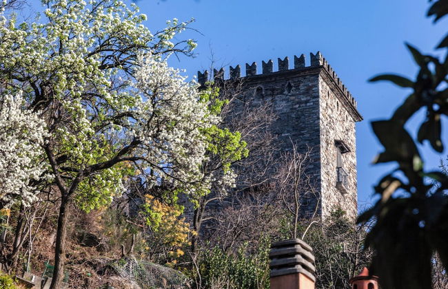 La Torretta 2 sul Lago Maggiore - Photo 24