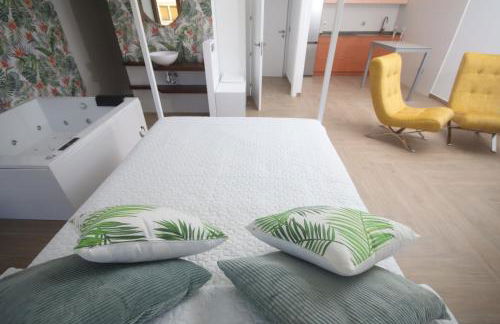 APARTAMENTOS GORI SUITES HIDROMASAJE accesibles minusválidos - Foto 12