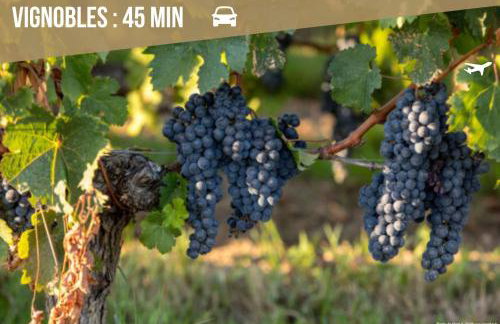 Villa Meli - Le Porge : la plage, Lège-Cap Ferret et Lacanau à 10 minutes - Photo 42