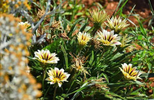 Kuća za odmor Diana - Foto 49