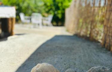 Sofia's House - Foto 9