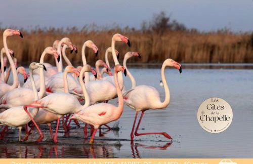 Les Gîtes de la Chapelle 4 - Photo 28
