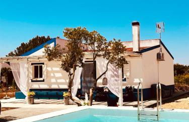 Quinta das palmeiras - Aldeia do Pico - Foto 1