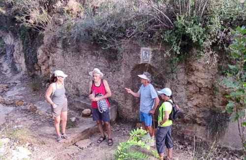 Casa Las Violetas - Photo 36