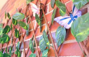 Garnacha Tinta VT-LR-2179 - Photo 23