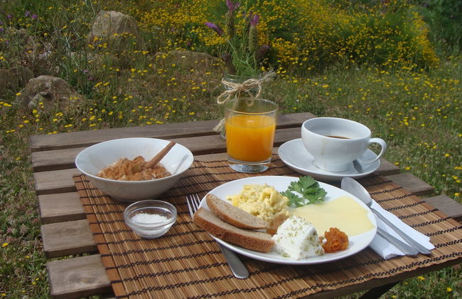 Biovilla Sustentabilidade - Foto 26