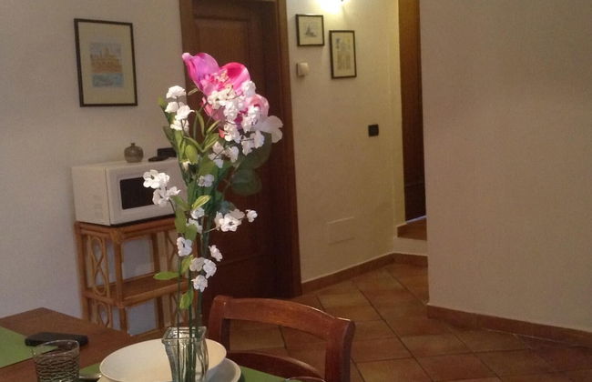 Vellutini Number One - Foto 23