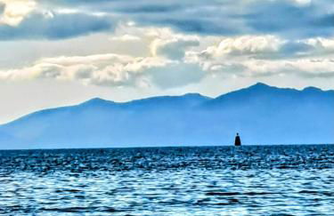 The Wee Bunker - Foto 12