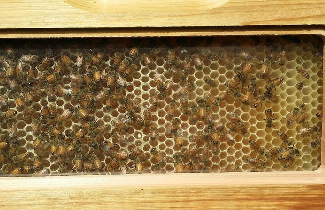 Casale Della Pergola Eco-friendly by the sea - Foto 34