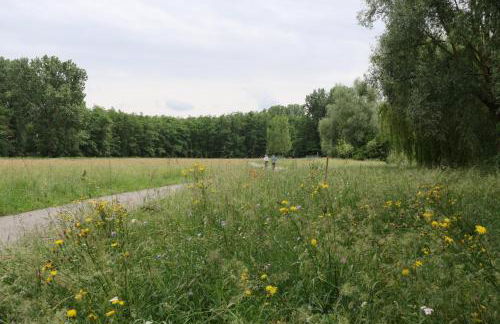 Ferienwohnung, 2 Zimmer, 4 bis 6 Personen, 67 qm, mit großem Balkon, entlang am Fluss, an der Aach, am Bodensee, nah am Naturschutzgebiet - Foto 43