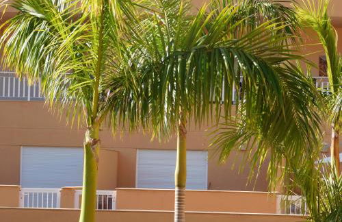 Brisas del Mar - Foto 27