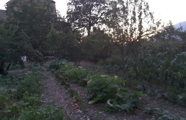 Giardino Donna Lavia - Foto 38