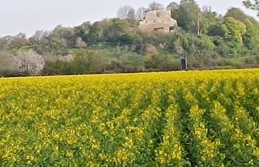 Haus Luise - Foto 48