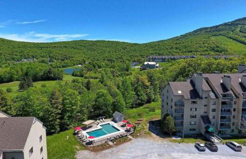 The Grizz AC Pool Sauna Gym Near Resort - Photo 21