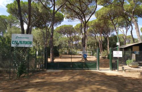 Villetta graziosa sul mare - Foto 28