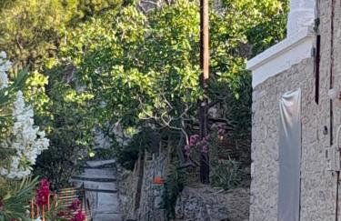 Παραδοσιακή κατοικία "ΧΡΥΣΑ" ΑΝΑΒΑΤΟΣ - Photo 34