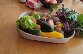 The Wing at Brook Hall nr York & Leeds - FREE hot tub - Foto 24