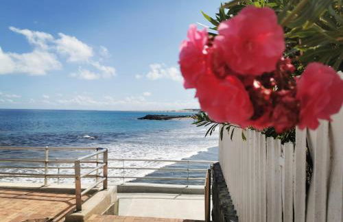 La Preciosa - Foto 55