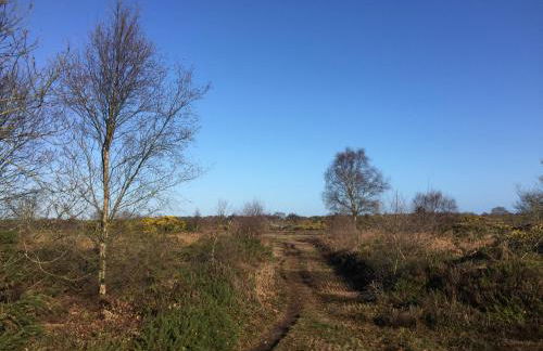 Chez Marguerite Shepherd's Hut with Private Sauna, Outside Bath - Photo 20