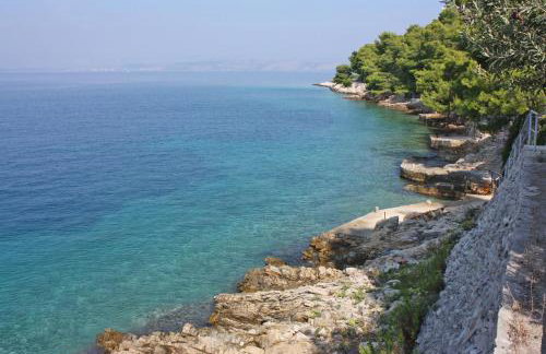 Family-friendly apartments with swimming pool Rogac, Solta - 19809 - Photo 33