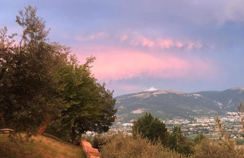 Casale degli ulivi - Foto 20