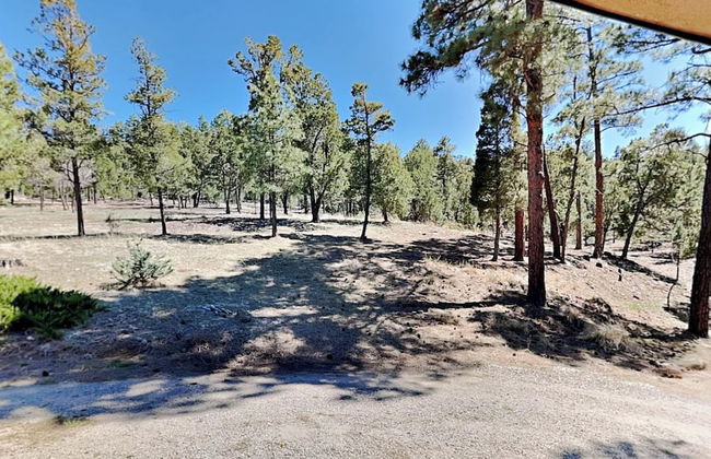 La Hacienda - Foto 29