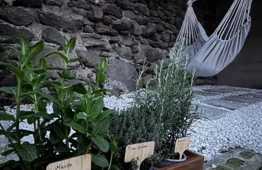 Il cuore della Valtellina - giardino privato - Photo 8