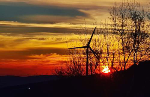 Cardenha da Bessada - Foto 27