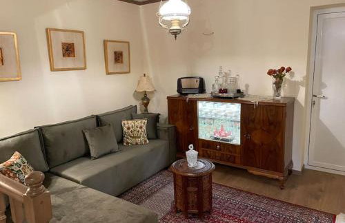 Petrini Armonia, Vitsa Zagori - Foto 23