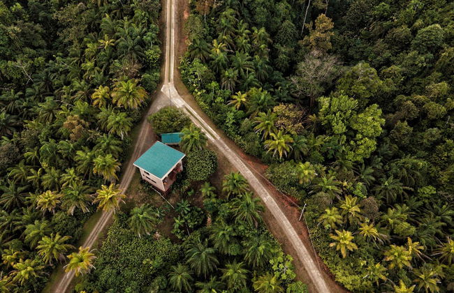 Corcovado Private Villas - Foto 79