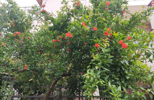Wine Reflections Apartment near Nafplio - Foto 31