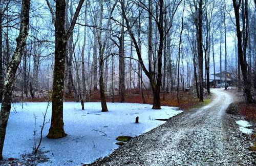 Luxury Mountain Cabin Rental on Rockfish Gap River near Charlottesville, Virginia - Foto 27