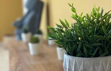 Anastasias house near Athens airport - Photo 44