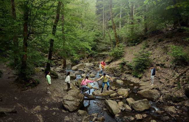 Center Parcs Les Ardennes - Photo 51