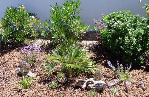 Location Fantaisie Ondres - Foto 14