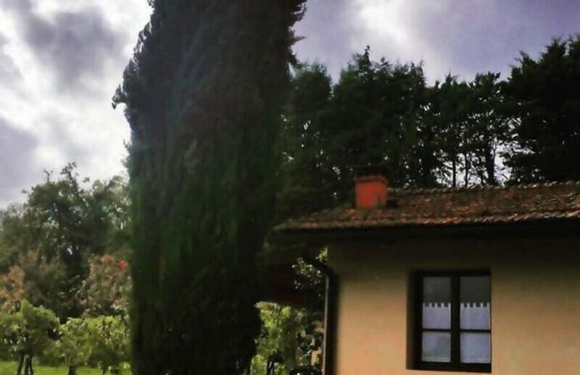 Agriturismo Il Sole Verde - Foto 47