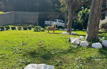 Chácara Paraiso Mion Pé na água - Foto 13