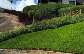 Villa Zarandi - Luxo e conforto que você procura! - Foto 69