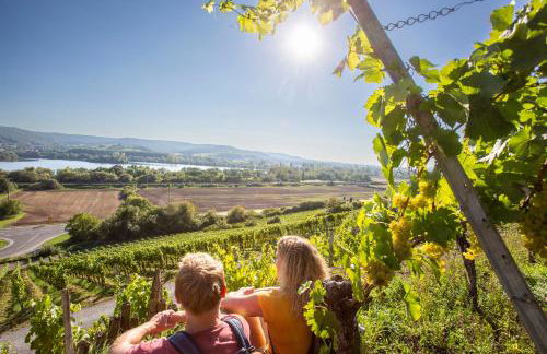 Top Roof Tiny ROOM - Tinylodge Ellertshäuser See - Foto 34