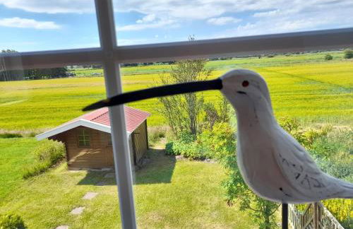 Ferienhaus Robby - Photo 20