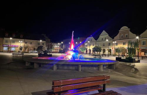 Apartamenty Stary Rynek 18 - Foto 23