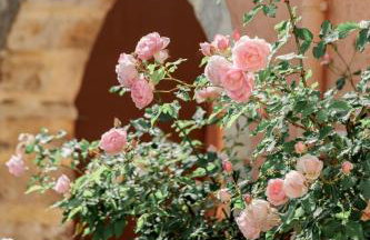 The Yard Residence - Foto 56