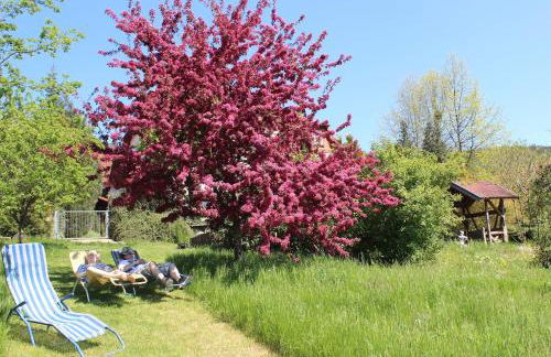 Pension Höchemer - Foto 28