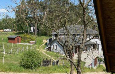 Winnica Bracia Petrasz - Foto 9