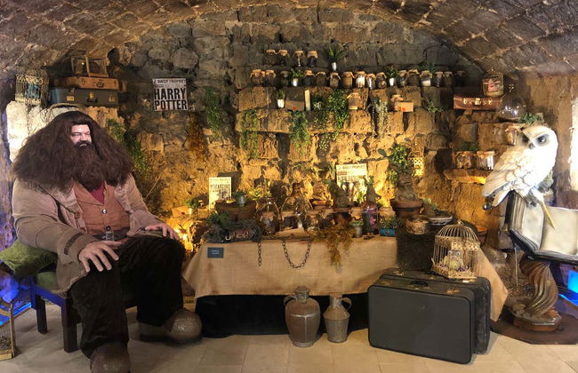 Billet pour le Château enchanté de Trigueros del Valle - Photo 15