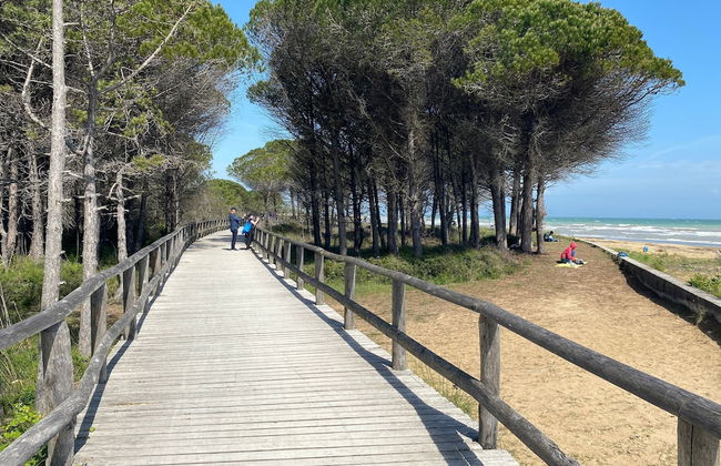 Superb Flat With Balcony Near the Beach - Beahost - Foto 14