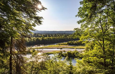 Casa Banniza - Foto 52