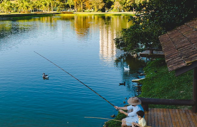 Fazzenda Park Resort - Photo 51