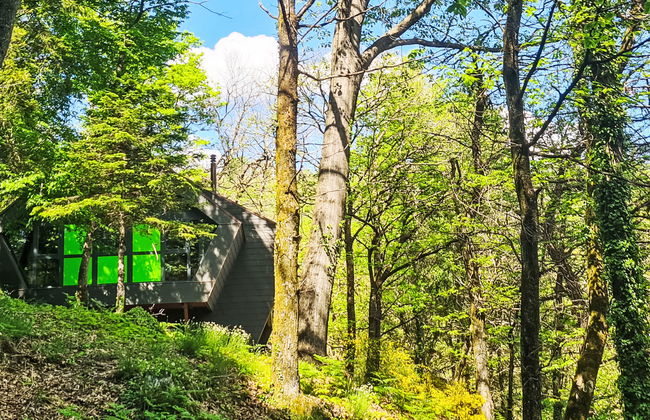 Bosco della Bella 6 - Foto 6