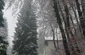 Eifelvilla Urbigkeit - Foto 35